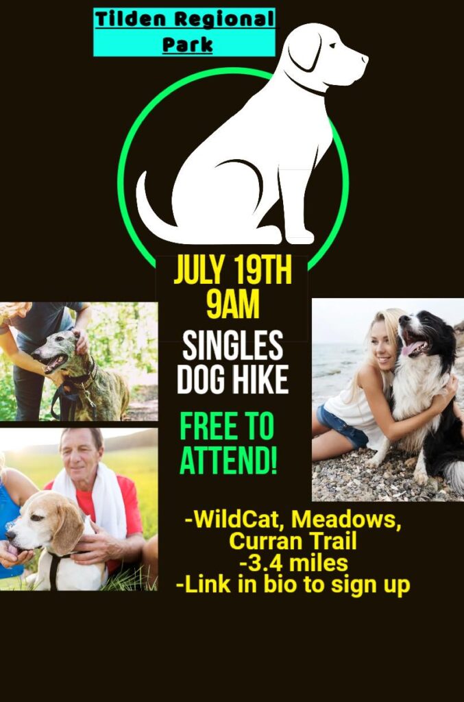 dog walking event flyer